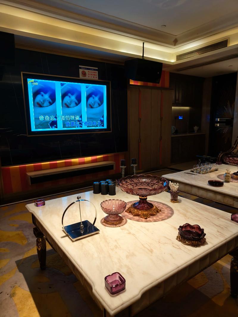 昆明商务ktv环境好体验佳-官渡区ktv预订